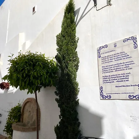 Portada Estepona